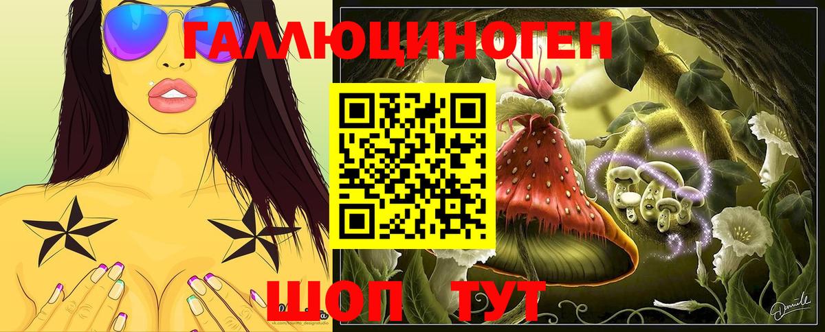 Псилоцибиновые грибы Psilocybe Заволжье
